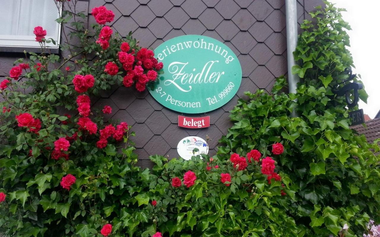 Ferienwohnung Zeidler Braunlage Extérieur photo